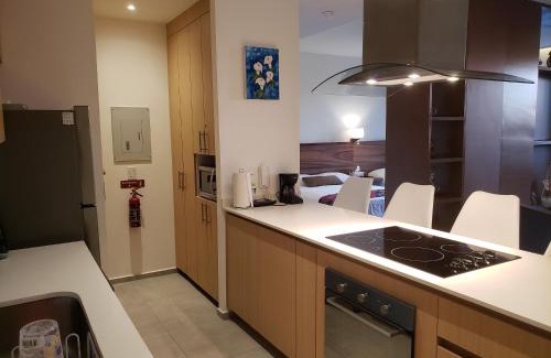 Flamingos Apartamento | Aria Ocean 208 Departamento con playa Nvo Vallarta