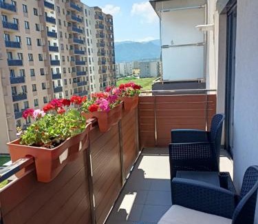 Tractorul Apartamento | Ariel Apartment - Balcony & Free Parking