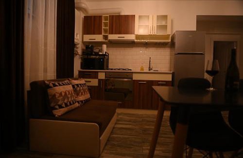 Craiova Apartamento | Arin l Aparthotel #1