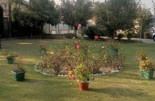 Srinagar Casa | Aristocrat Homestay