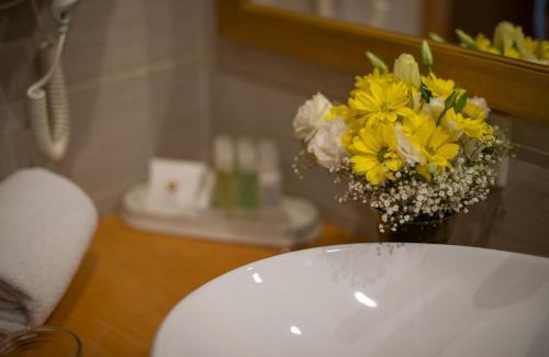 Arcadia Hotel | Ark Palace Hotel & SPA