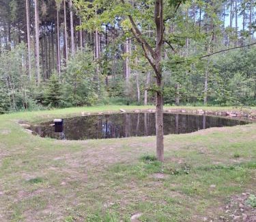Trsov Apartamento | Arktik Lesní Mlýn