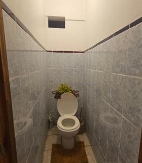Te-Fare-Arii Casa | Armand lodge