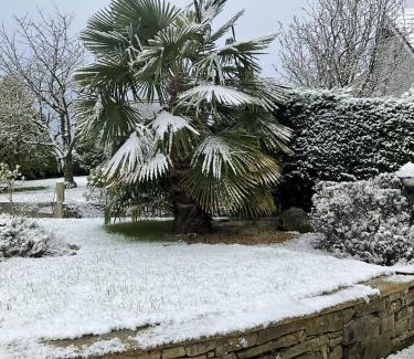 Seaton Cama Y Desayuno | Armidale Cottages B&B