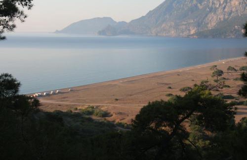 Cirali Cabina | Armina Pension