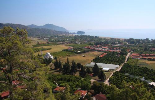Cirali Cabina | Armina Pension
