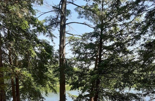 Seguin Cabina | Armishaw Lake Muskoka cottage on a private lake!