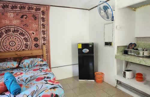 Punta Uva Apartamento | Armonía Punta Uva