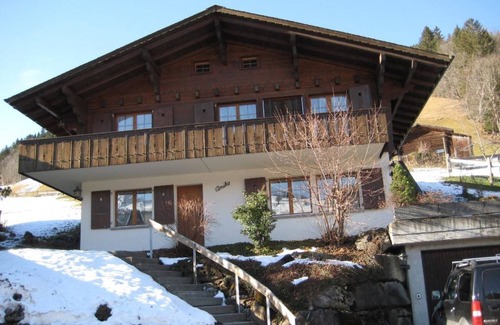 Lenk Apartamento | Arnika # 2 by Interhome