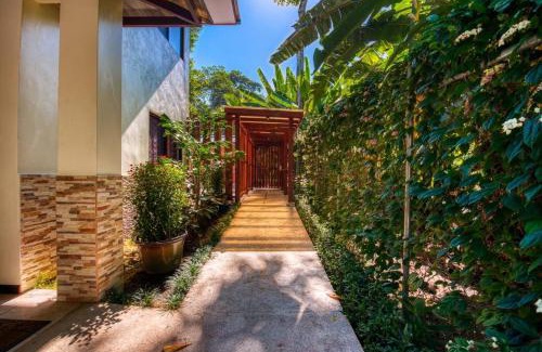 Cocles Casa | AroCocles (Victoria)