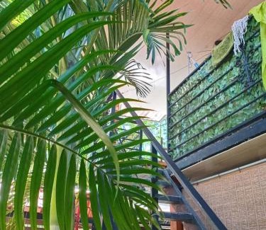 Pacuare Reserve Apartamento | Arrecife