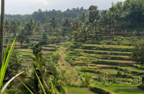 Tetebatu Casa | Arsilahomestay
