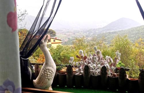 Caiazzo Apartamento | Art & Design, 2min walk to Pepe in Grani