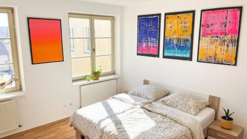 Ceske Budejovice Apartamento | ART room with rooftop dinner or breakfast