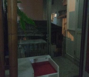 Xincheng Casa | Art Taiwan Homestay