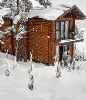 Jermuk Chalet De Esquí | Arte Jermuk Lux Cottage