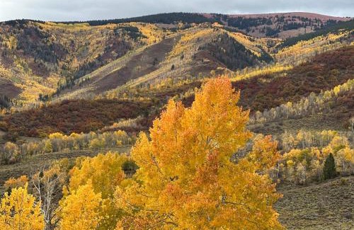 Cerise Ranch Casa | Artful Mountain Estate near Aspen and Snowmass