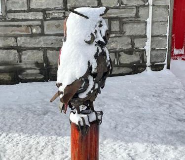 Sutherland Casa | Artist Cottage