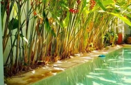 Zona Paseo Montejo Casa | Artist Designed Luxury Home with Pool in Centro!