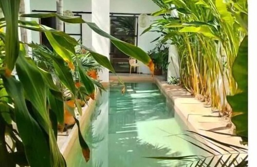 Zona Paseo Montejo Casa | Artist Designed Luxury Home with Pool in Centro!