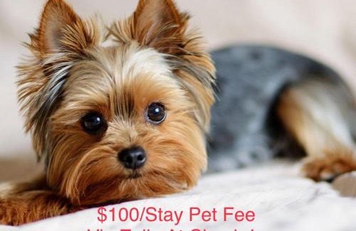 Houston Heights Casa | Artsy Heights House: Walk To Food-Bars-Shops-Trails, Kids & Pet Friendly