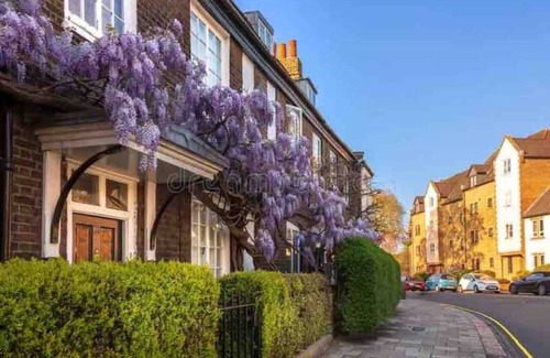 Richmond-upon-Thames Apartamento | Arty Boutique Apartment in Central Teddington