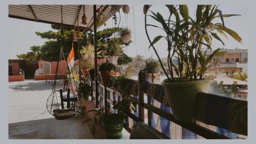 Jodhpur Casa | ARUNACHAL EMPIRE HOMESTAY