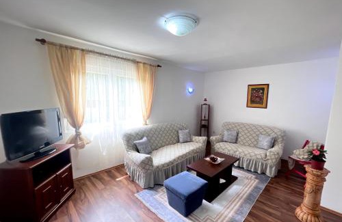 Niksic Apartamento | AS apartment house