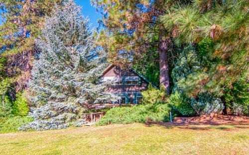 Arnold Casa | As Far As We Go