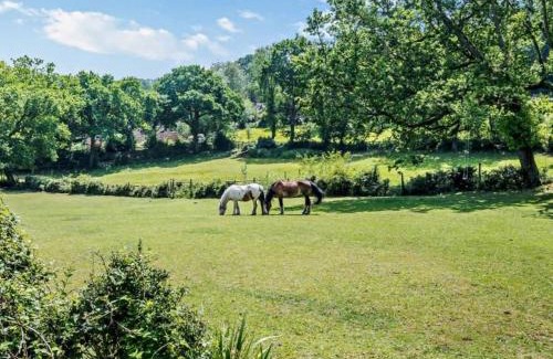 New Forest District Casa | Ashdale Cottage