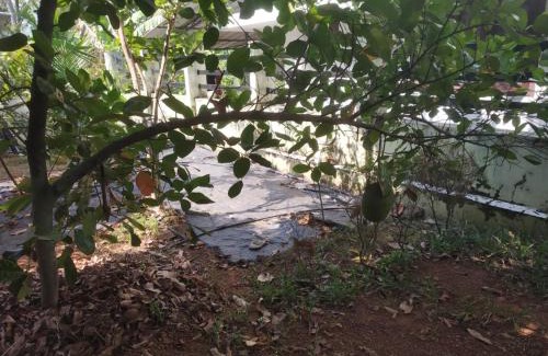 Thrissur Casa | Ashiaana Homestay