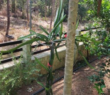 Thrissur Casa | Ashiaana Homestay