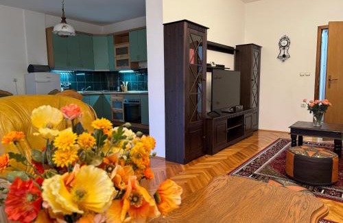 Novi Pazar Apartamento | ASKonak Apartman Novi Pazar Centar