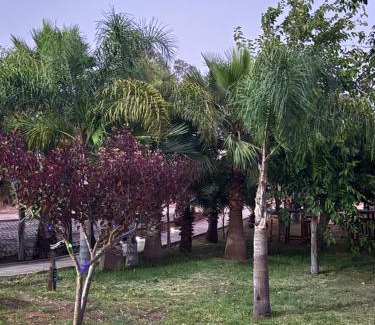 Sabbah Casa | Asmae House