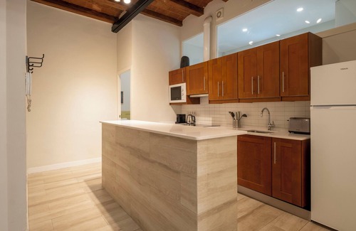 la Vila de Gracia Apartamento | Aspasios Gracia Apartments