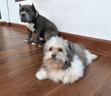 Phasi Charoen Casa | Aspiraya Homestay with Pool - สำหรับชาวต่างชาติเข้าพักเท่านั้น