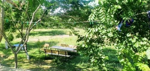Nurata District Casa | Asror`s homestay in Sentyab village