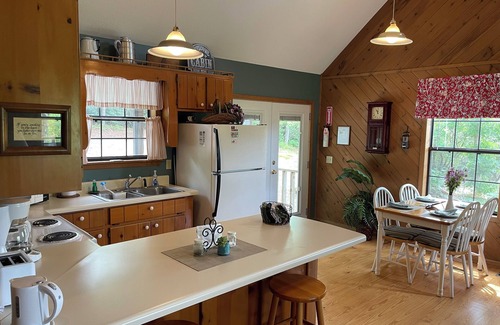 Hiawassee Cabina | Aster Cabin - Beautiful Mountain View, Rustic Charm w/ Jacuzzi & Wood Fireplace