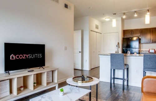 McNeil Apartamento | Astonishing Cozysuites on I-35 w Pool Parking 09