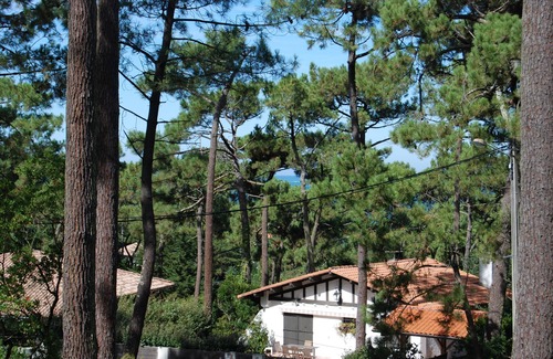 Pyla-sur-Mer Villa | En Pyla, en el corazón del barrio de la Corniche, villa familiar bajo los pinos