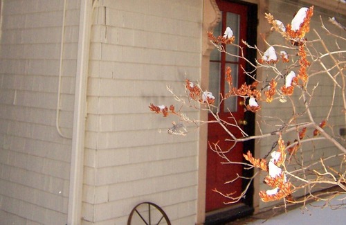 Manitou Springs Cabina | En la cabaña de Springs: ¡Ubicación, encanto y extras para caminar solo para ti!