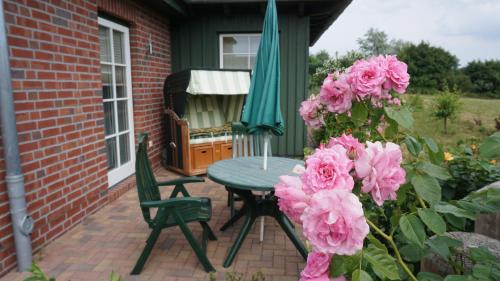 Ostseebad Ahrenshoop Apartamento | Atelierwohnung Götze
