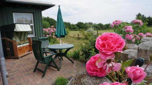 Ostseebad Ahrenshoop Apartamento | Atelierwohnung Götze