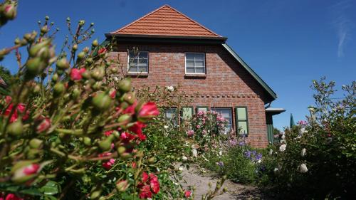 Ostseebad Ahrenshoop Apartamento | Atelierwohnung Götze