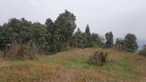 Darjeeling Casa | Atithi inn JHAMBALA HOMESTAY
