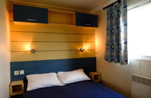 Burinhosa Otro | Atlantic Shell Bungalow