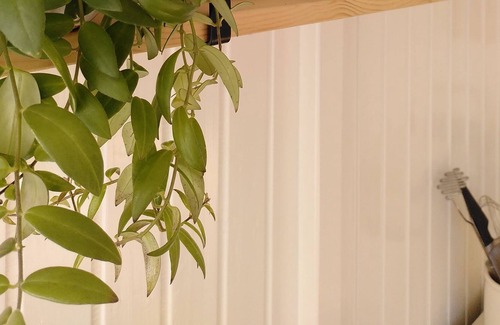 Menaldum Cabaña | Atmospheric tiny house with private garden