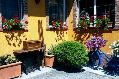 Sighisoara Apartamento | ATRIUM 24 Suite