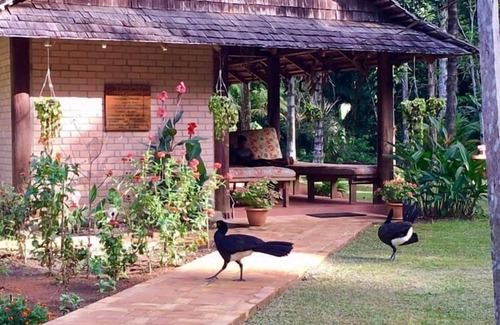 Mauisparu Cabina | Atta Rainforest Lodge