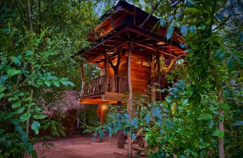 Dambulla Cabina | Attale eco resort